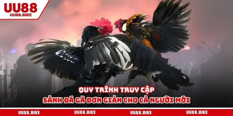Quy trình truy cập sảnh đá gà đơn giản cho cả người mới