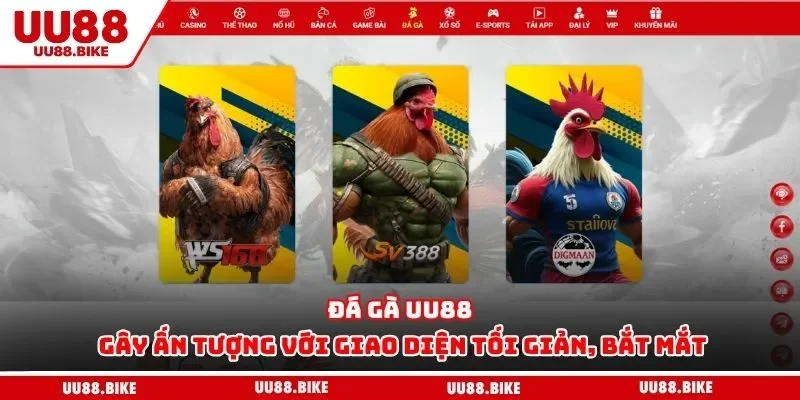 Đá gà UU88 gây ấn tượng với giao diện tối giản, bắt mắt