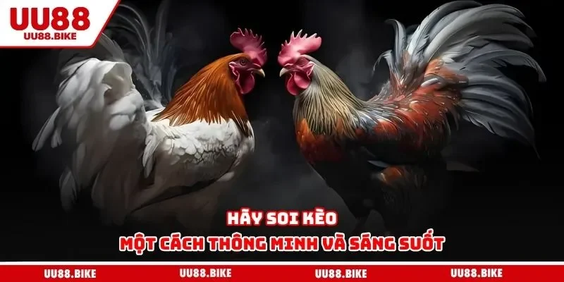 Hãy soi kèo một cách thông minh và sáng suốt
