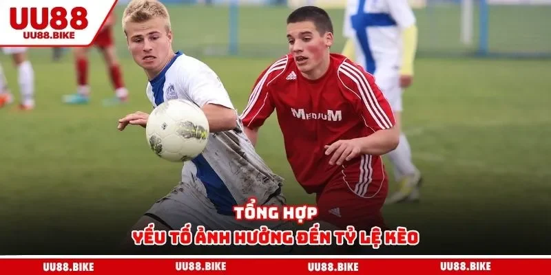 Soi Kèo Bóng Đá UU88 - Bật Mí Kinh Nghiệm Cược Đâu Thắng Đó Tổng hợp yếu tố ảnh hưởng đến tỷ lệ kèo